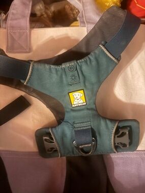 Durable front-clip harness by RuffWear. Teal body with navy straps and reinforce
